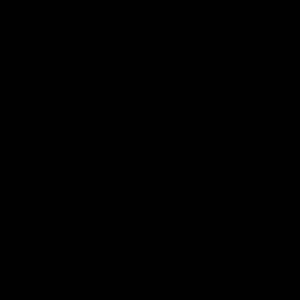 Meet your Posher, ⚡️